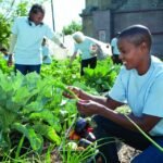 Generous Investments: 5 Ways to Impact Your Community