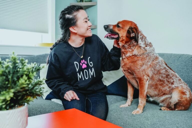 Pet Weight Management