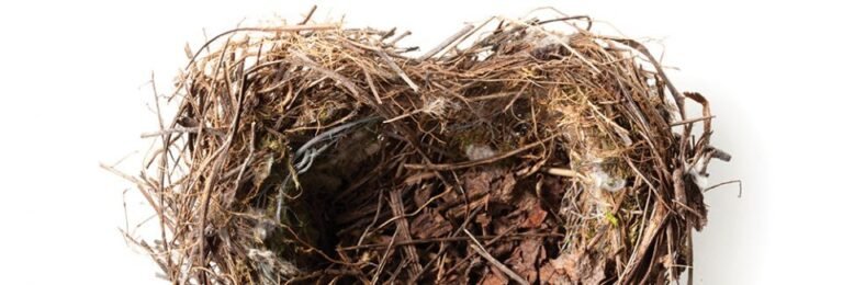 Empty Nest: Grief or Gratitude?
