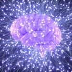 The Remarkable Brain
