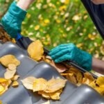 Spring Cleaning Checklist for Your Home - Good Life Family Magazine