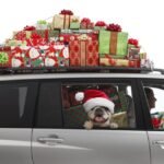Essential Safety Tips for Holiday Travel