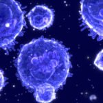 Elevate Your Immune System: 5 Simple Strategies