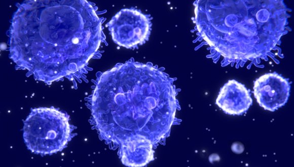Elevate Your Immune System: 5 Simple Strategies
