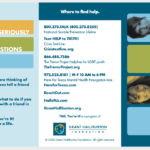 Help for Suicide Prevention