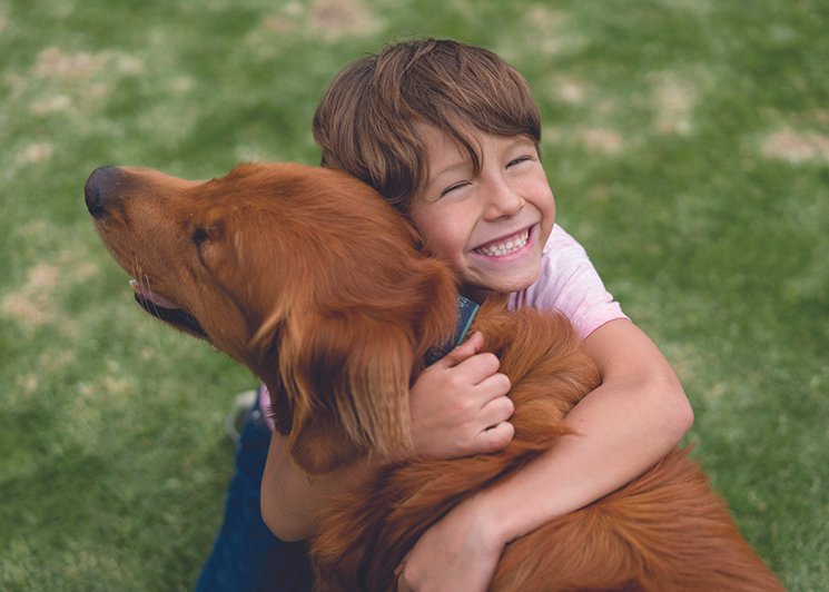 Do Your Children Have Dog Allergies?