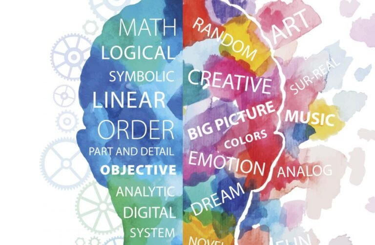 Understanding the Teenage Brain