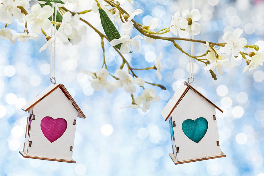 Navigating a Successful Blended Family