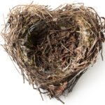 Embracing Self-Discovery in an Empty Nest