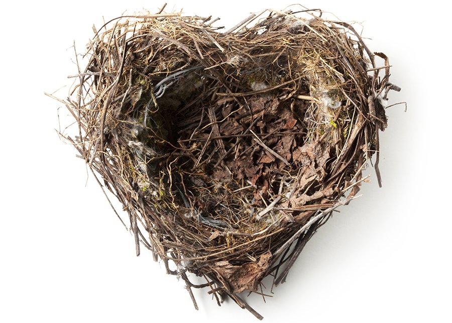 Embracing Self-Discovery in an Empty Nest