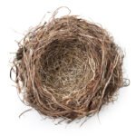 Embracing the Empty Nest: Reconnecting Your Marriage Post-Parenting