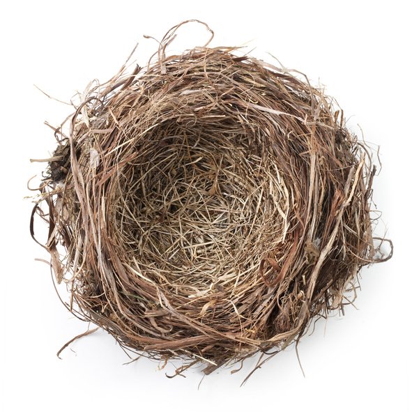 Embracing the Empty Nest: Reconnecting Your Marriage Post-Parenting