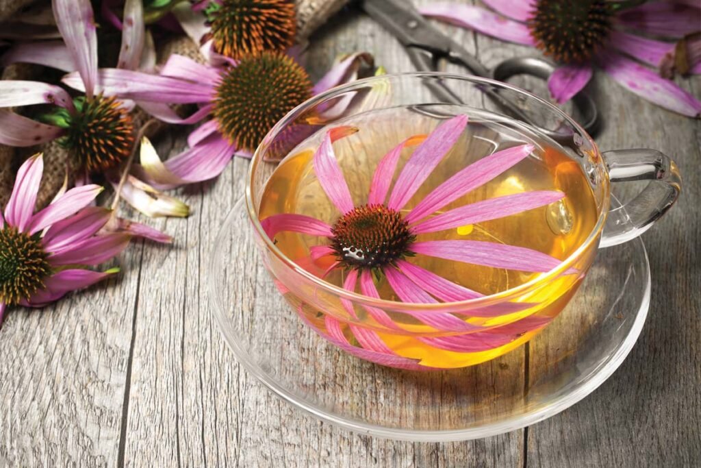 Herbs for Your Virus-Fighting Arsenal