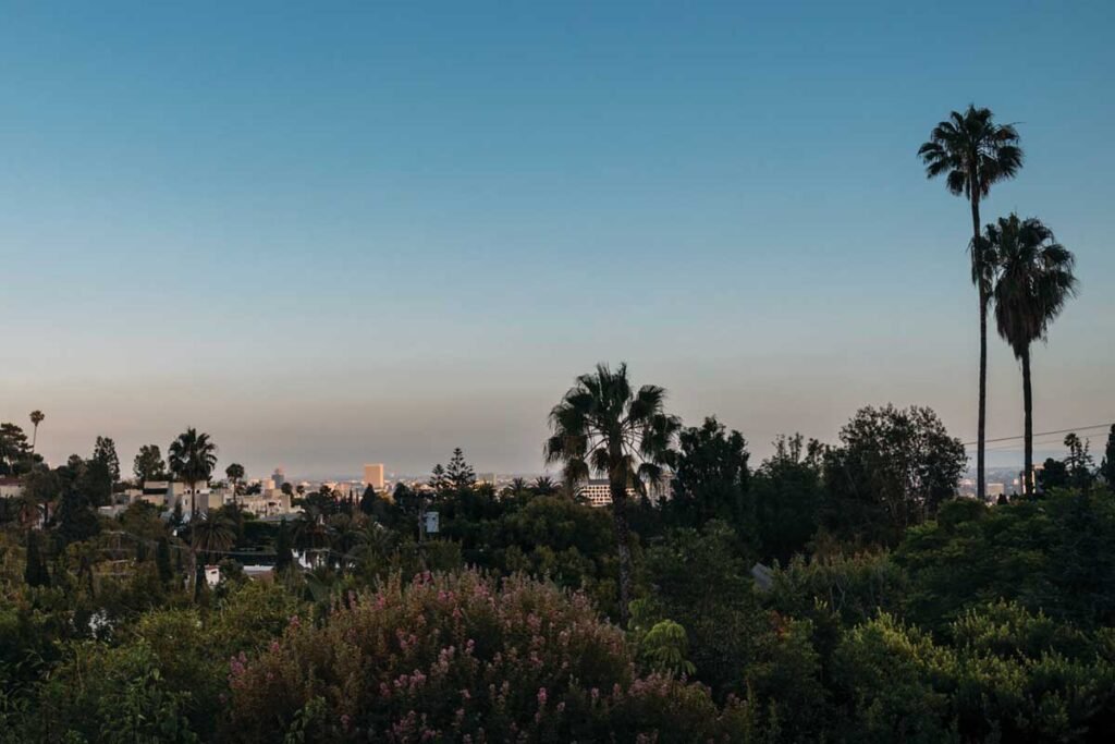 From Spirit to Earth