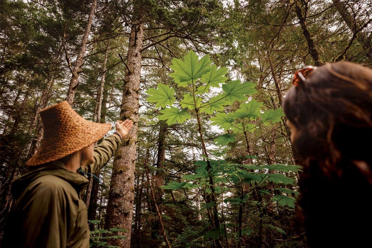 Taking Care of the Body’s Supercomputer