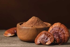 Innovation for Good: Rainforest Foundation US and Save the Rainforest Bars