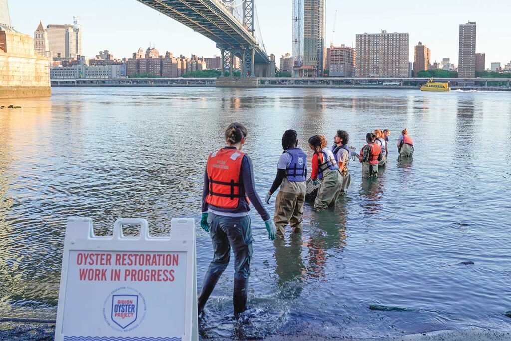 Imported Article – 2026-03-22 14:33:22