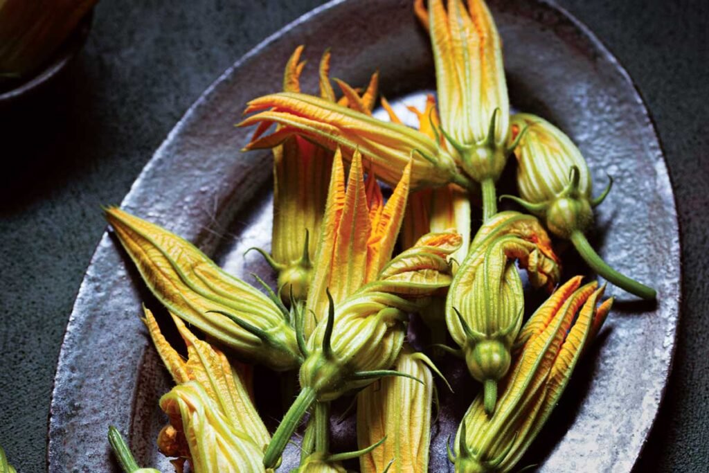 The Connections That Nourish Us